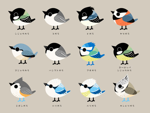 Kawaii Tit Bird Set: 可愛いシジュウカラ科のセット
