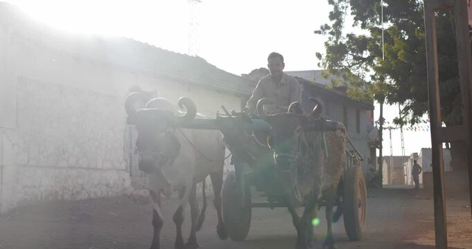 Bullock cart, pulled by a pair of sturdy oxen and driven by a man, in a rural landscape