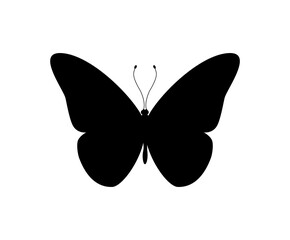 Vector illustration of butterfly icon on white background.