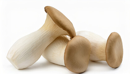 Fresh King Oyster Mushrooms Close Up Studio Shot Delicious Edible Fungi
