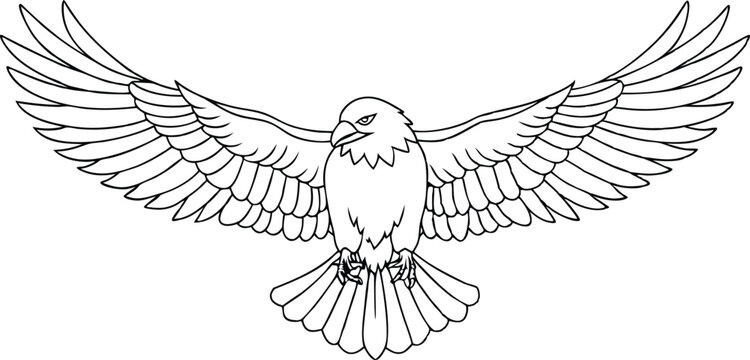 Eagle Outline, Wings Spread, Bird of Prey, Black and White Illustration, Minimalist Design