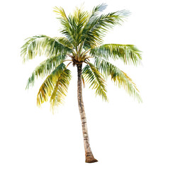 Obraz premium Watercolor painting of a single palm tree with green fronds isolated on a black background art illustration