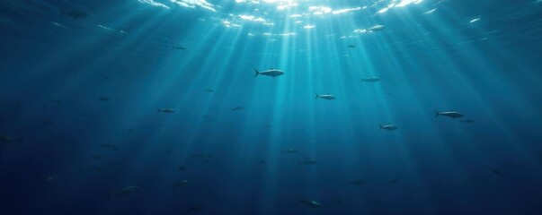 Obraz premium Opaque dark blue ocean surface with scattered schools of silver fish swimming in the depths, swim, school