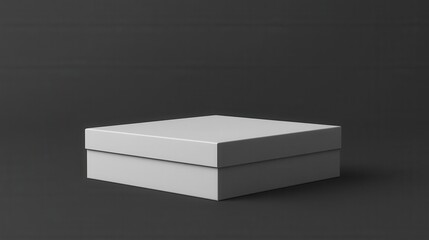 Blank white square box (21)