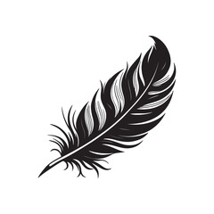 Obraz premium Fluffy feather silhouette