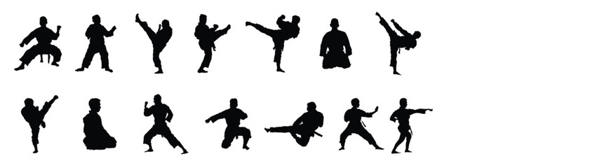 A vector collection of martial arts poses for artwork compositions Vector. © Aasiyah