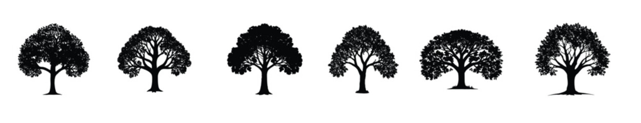  silhouette of tree on white background