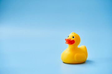 An adorable cute yellow rubber duck set against a blue background