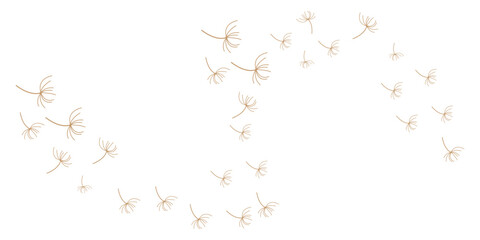 dandelion logo concept wallpaper background design illustration dandelion plant template flying