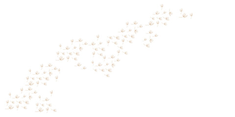 Obraz premium dandelion logo concept wallpaper background design illustration dandelion plant template flying