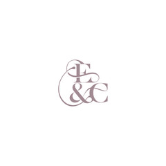 bold serif initial calligraphy EC elegant and luxury concept wedding concept monogram letter