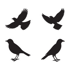 Obraz premium vector silhouettes of birds