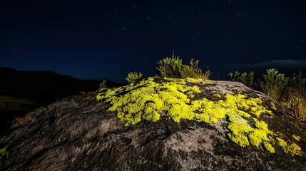 Moss-Covered Rock in the Mountains at Night: A Serene and Mysterious Natural Scene