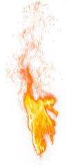 vector illustration of a fiery orange