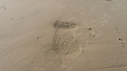 The surface of the sandy seabed at low tide. Uneven wavy indentations. Footprints of a man in wet sand. Top view. Full screen. Madagascar.