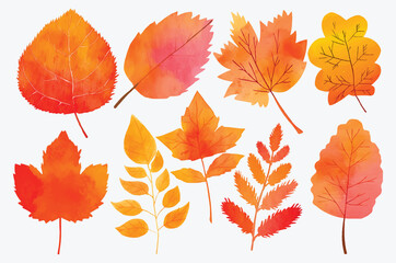 set of watercolor autumn leaves clipart isolated on white background flat vector illustration