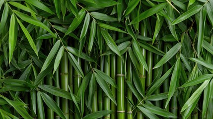 Obraz premium Vibrant green foliage closeup rich texture natural fresh herbs plants