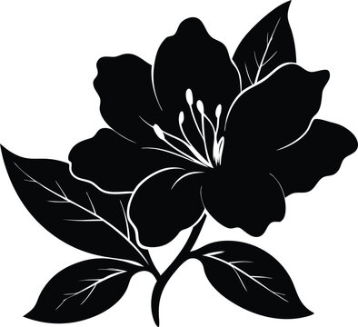 recommend clip art: Flower silhouette vector, Azalea silhouette black clipart, azalea flower icon, azalea flower silhouette vector illustration