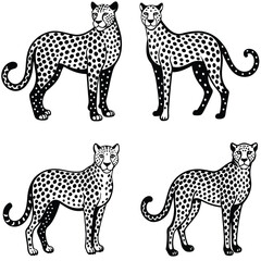 Fototapeta premium Cheetah Vector Silhoette Bundle Set Collection
