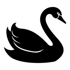 black swan vector