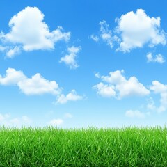Beautiful landscape presents lush green grass under a bright blue sky with fluffy clouds, offe ideal copy space for text and design in a standard format.