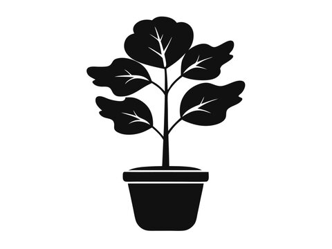 black potted plant silhouette on white clip art preview