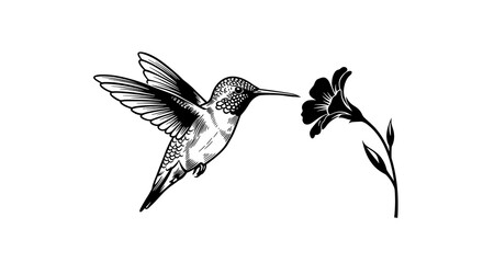 Fototapeta premium Flying animal. black and white style. for design and background
