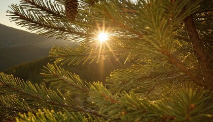 Obraz premium Close-up of pine tree 1