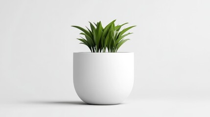 Obraz premium Simple potted plant, minimalist design