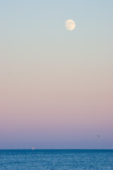 Serene view of a full moon glowing over a calm ocean, with a sailboat on the horizon and a bird in flight, capturing the tranquility of twilight.