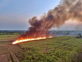 A sugarcane plantation is set on fire as part of the harvesting process in rural Thailand, sending black smoke and ash into the atmosphere.
