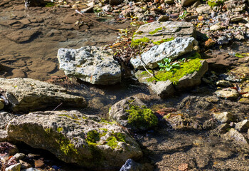 the structure of the rocky bottom of a dried-up riverbed in the autumn period of the year