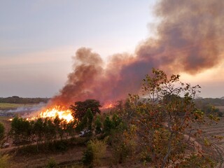 A sugarcane plantation is set on fire as part of the harvesting process in rural Thailand, sending black smoke and ash into the atmosphere.