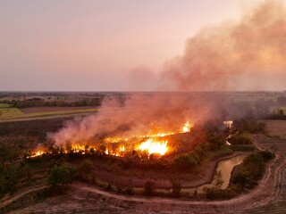 A sugarcane plantation is set on fire as part of the harvesting process in rural Thailand, sending black smoke and ash into the atmosphere.
