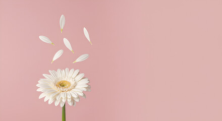 Obraz premium pink flower background