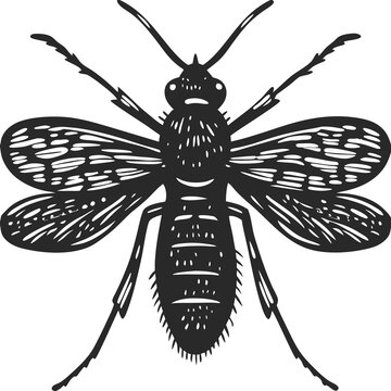 recommend clip art: Mosquito vector silhouette illustration isolated on white background
