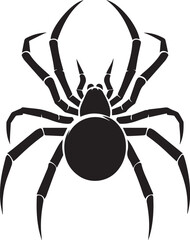 Illustration vector of black spider