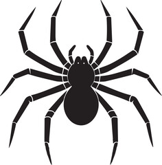 Illustration vector of black spider
