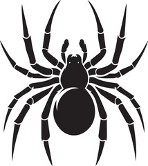 Illustration vector of black spider