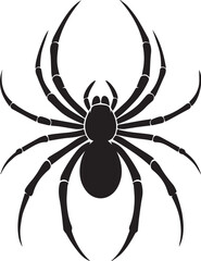 Spider vector illustration