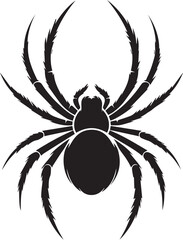 Spider vector illustration