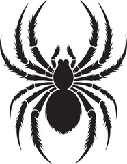 Spider vector illustration
