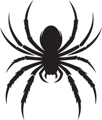 Spider vector illustration