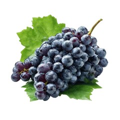 Fototapeta premium Bunch of fresh grapes with leaf on white background