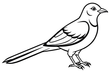 cuckoo silhouette a vector illustration of a bird symbol of peace