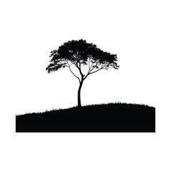 Solitary tree black color on isolated white background