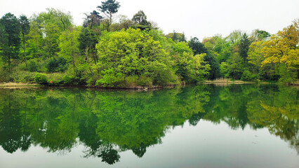 Fototapeta premium 日本の春・水面に映る木々／Spring in Japan: Trees reflected on the water／일본의 봄·수면에 비치는 나무들