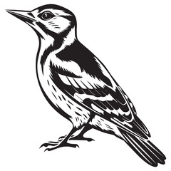 Naklejka premium Vector Woodpecker Silhouette Minimalist Bird Illustration