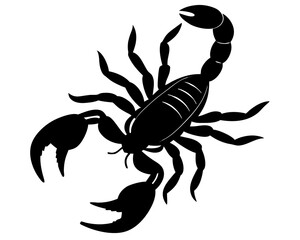 Scorpion insect vector silhouette illustration isolated on white background
