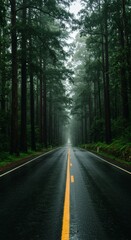 Fototapeta premium Driving Through Tall Trees Forest on Wet Road with Yellow Line